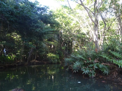 Indian River Tour Indian River Tour